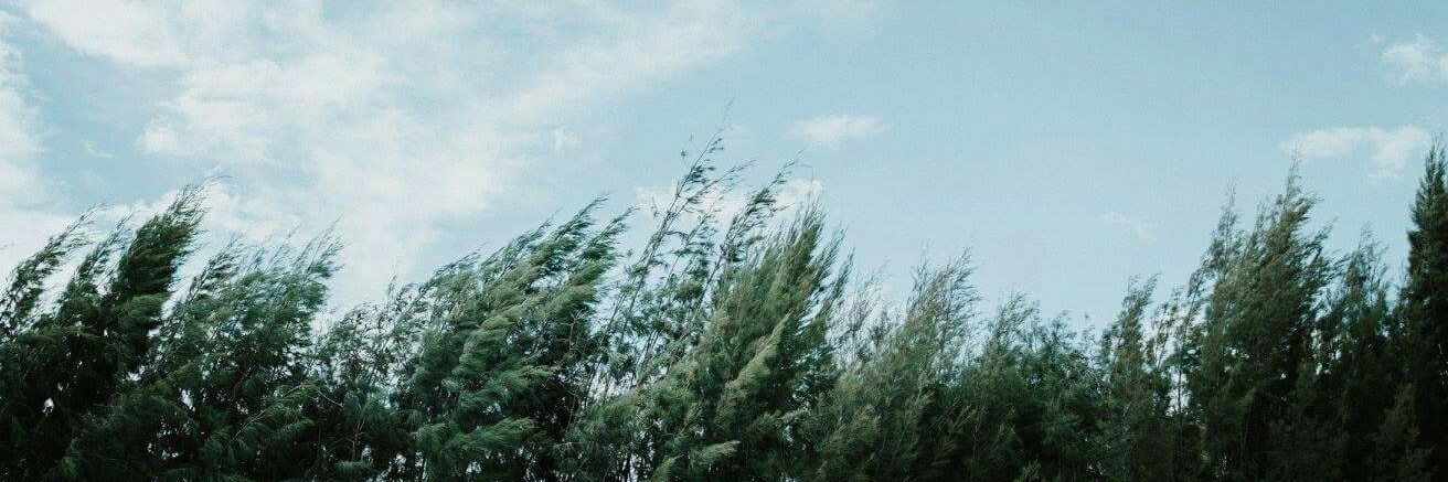 AgJames's profile banner image