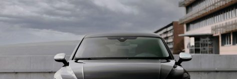 Susan Almendarez banner