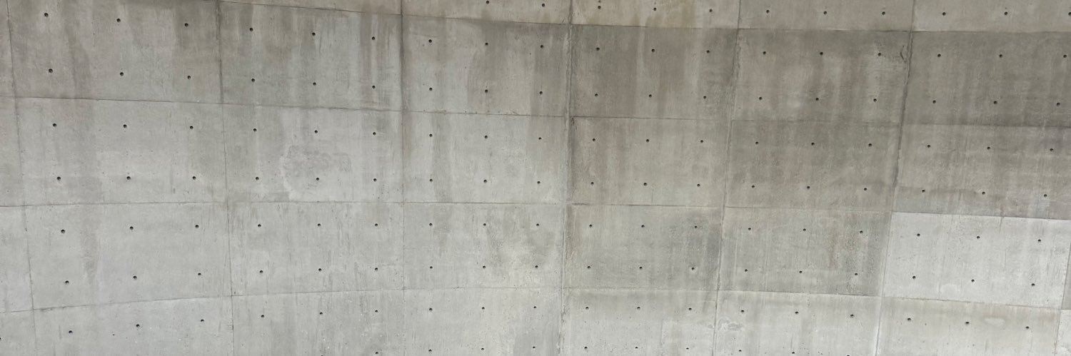 mayalansari's profile banner image