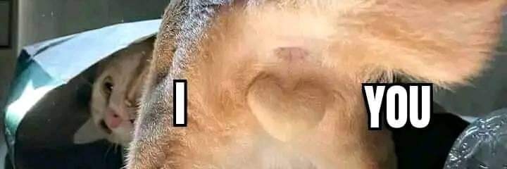 itsmeeadi's profile banner image