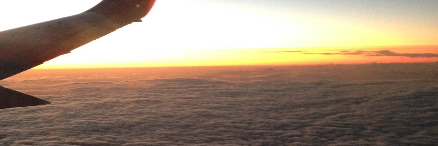 reeannun's profile banner image