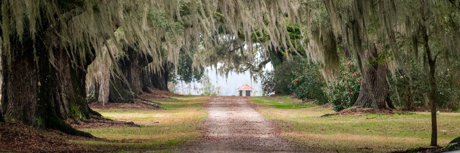 RedeAdventures's profile banner image
