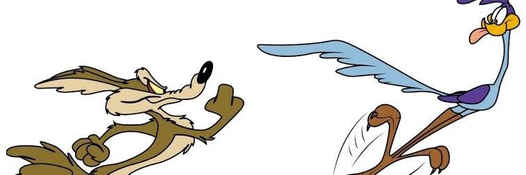 hülya hafız banner