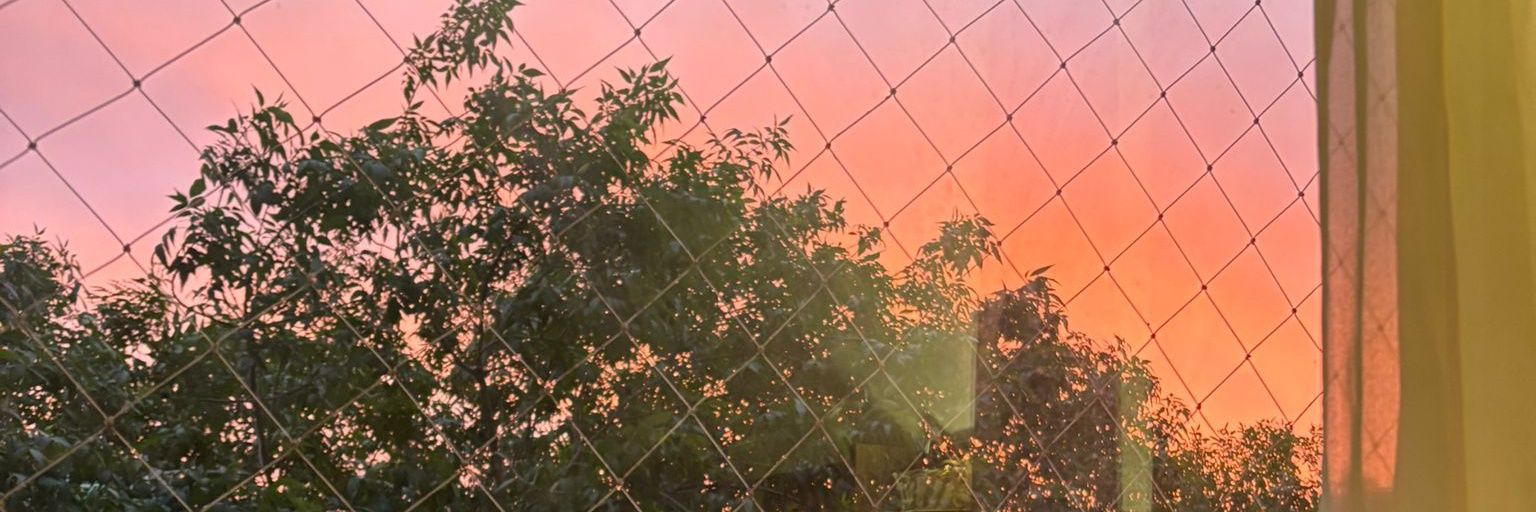 maiisitta's profile banner image
