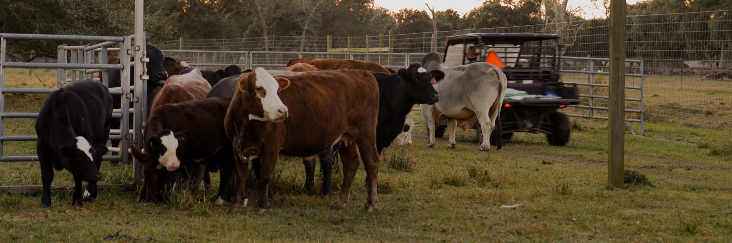 Rowdy Hand Co. banner