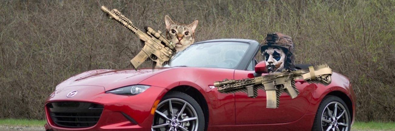 Derp™️'s banner