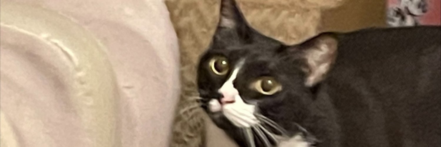 まるるーん＊リミックス banner