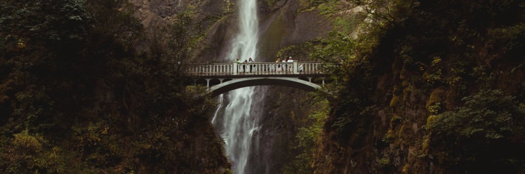 Alvin Singh 📚 x 👨🏽‍💻♻️ banner