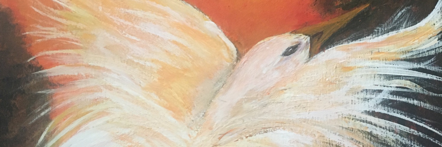 Pam Olson banner