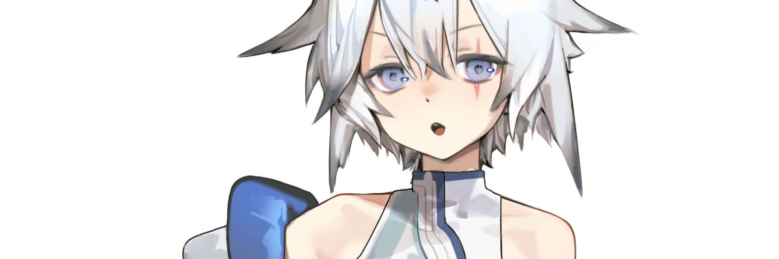 HETO's banner
