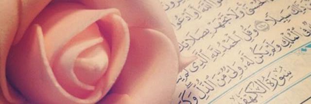 zull_dis's profile banner image