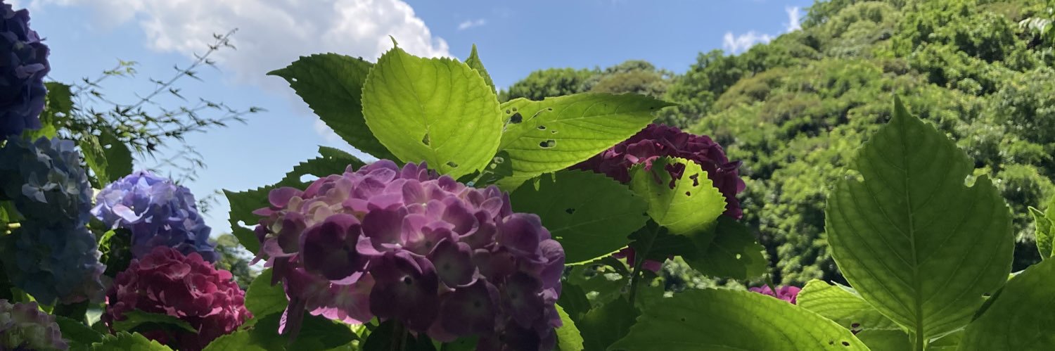 uriko73's profile banner image