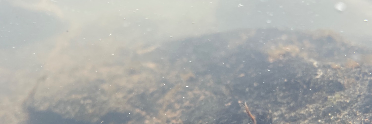 writetorik's profile banner image