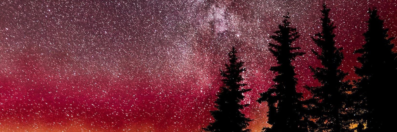 lloydexperience's profile banner image