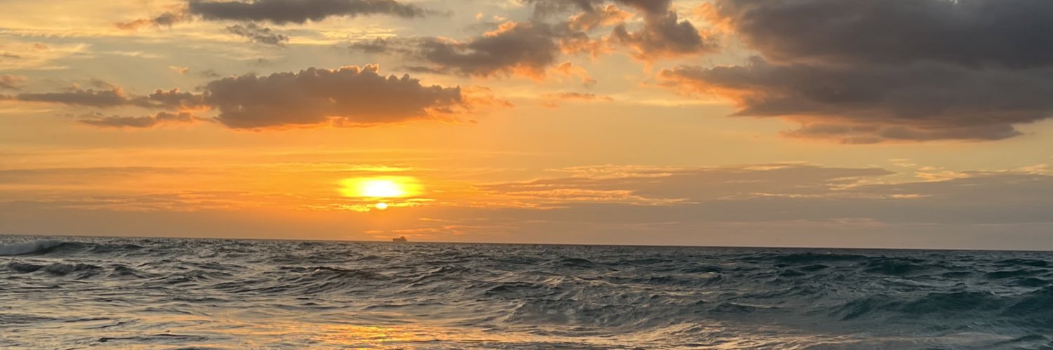 vianneymvry's profile banner image