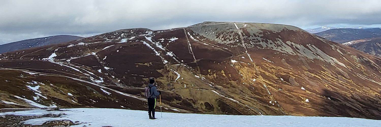 Juvenile Birder banner