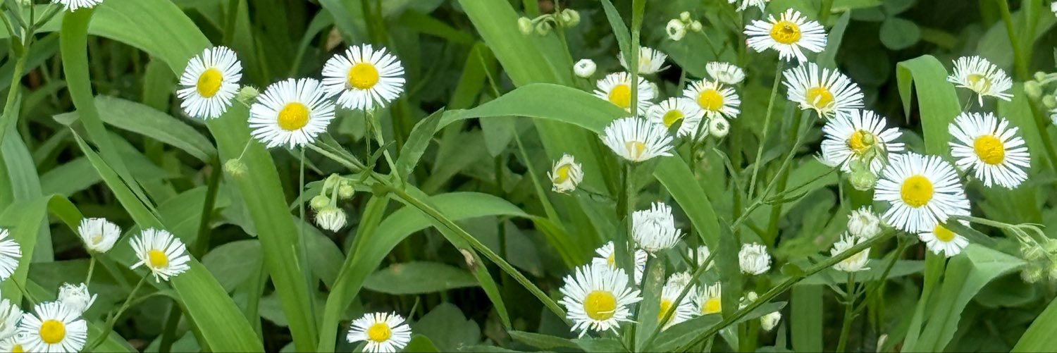 kzz057's profile banner image
