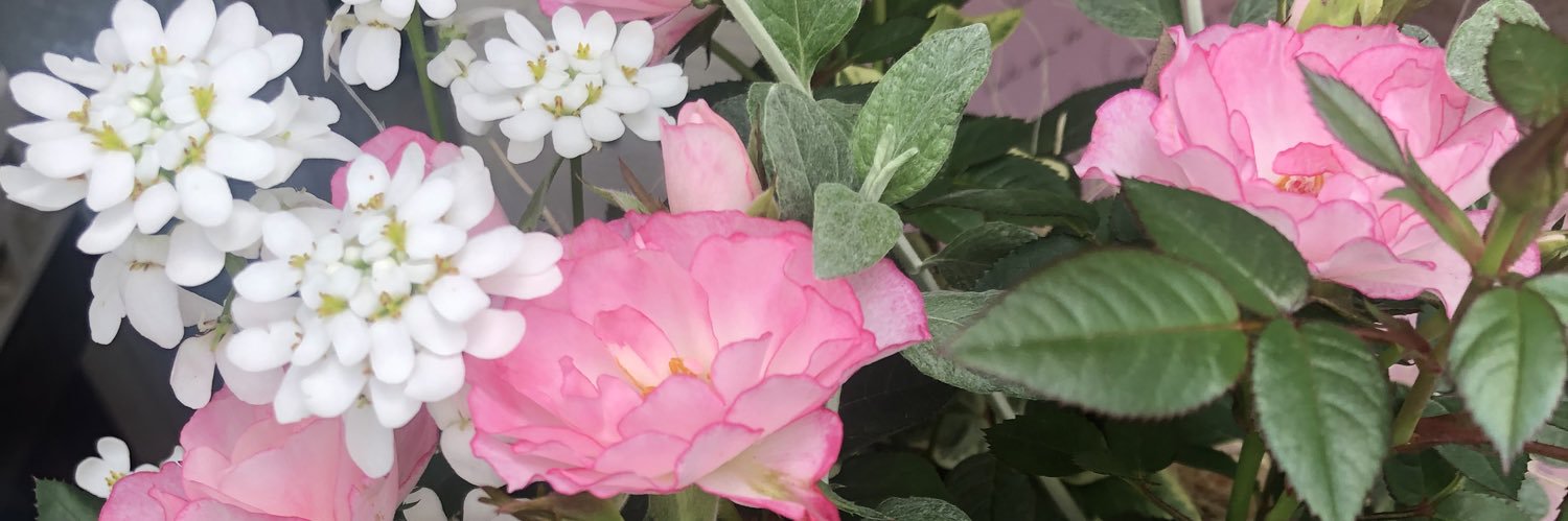 頑張れ！ギャンつまりよねっち banner