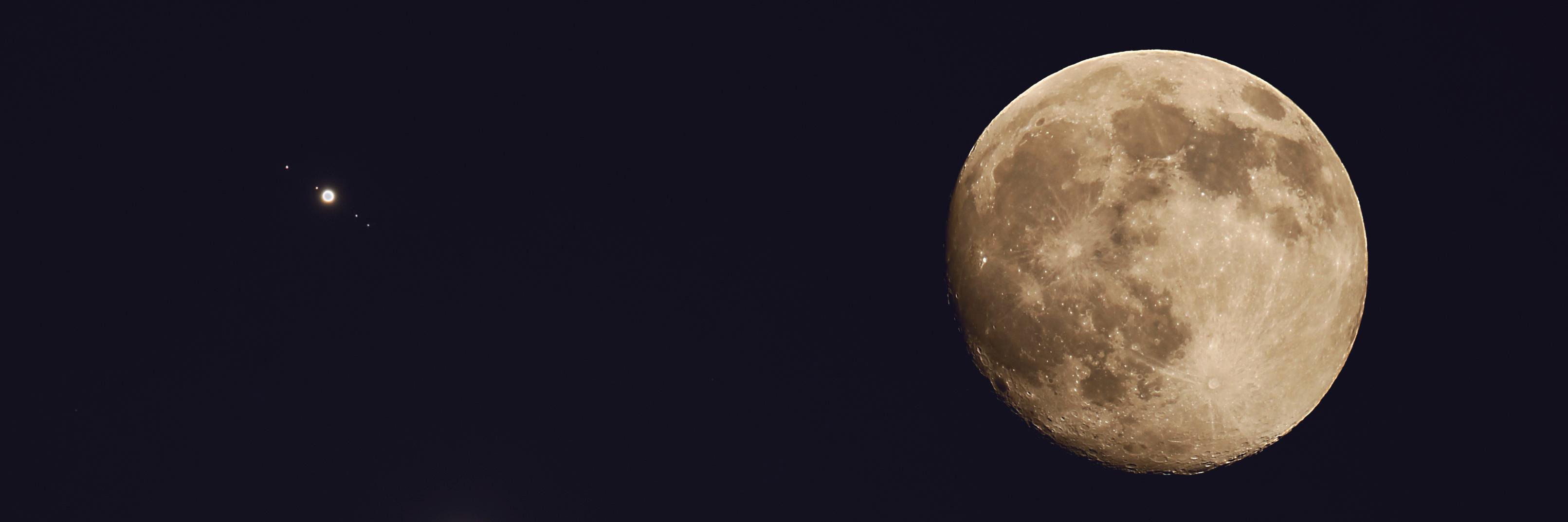 Mitchell Bingemann banner