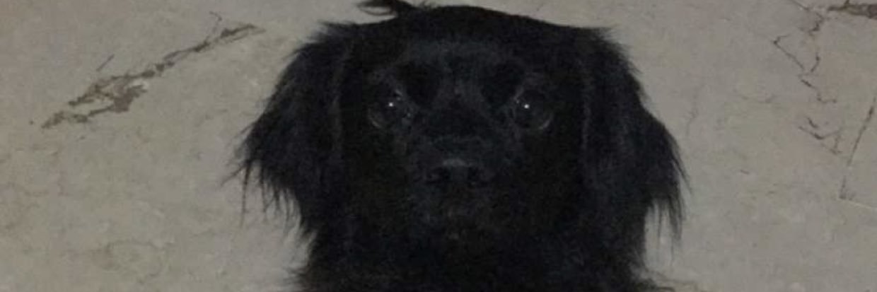 DebsKobs's profile banner image