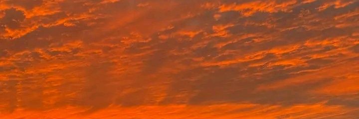 thatlonelyeagle's profile banner image