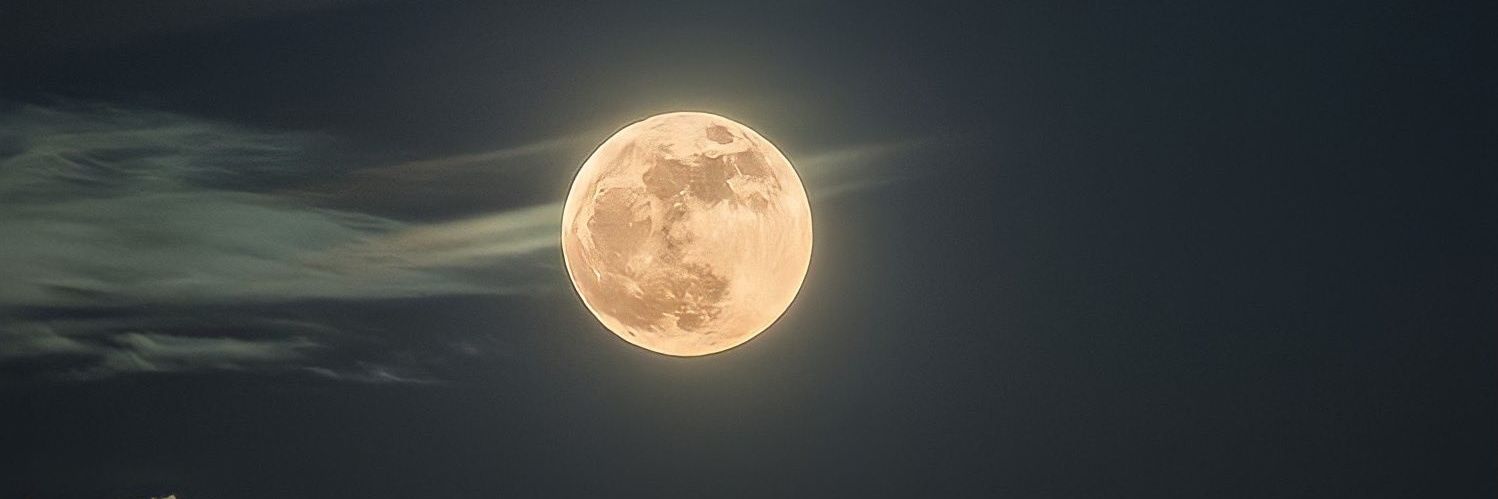 rai_trxx's profile banner image