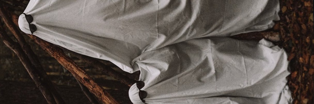 پیسدیح بایقوشی(: banner