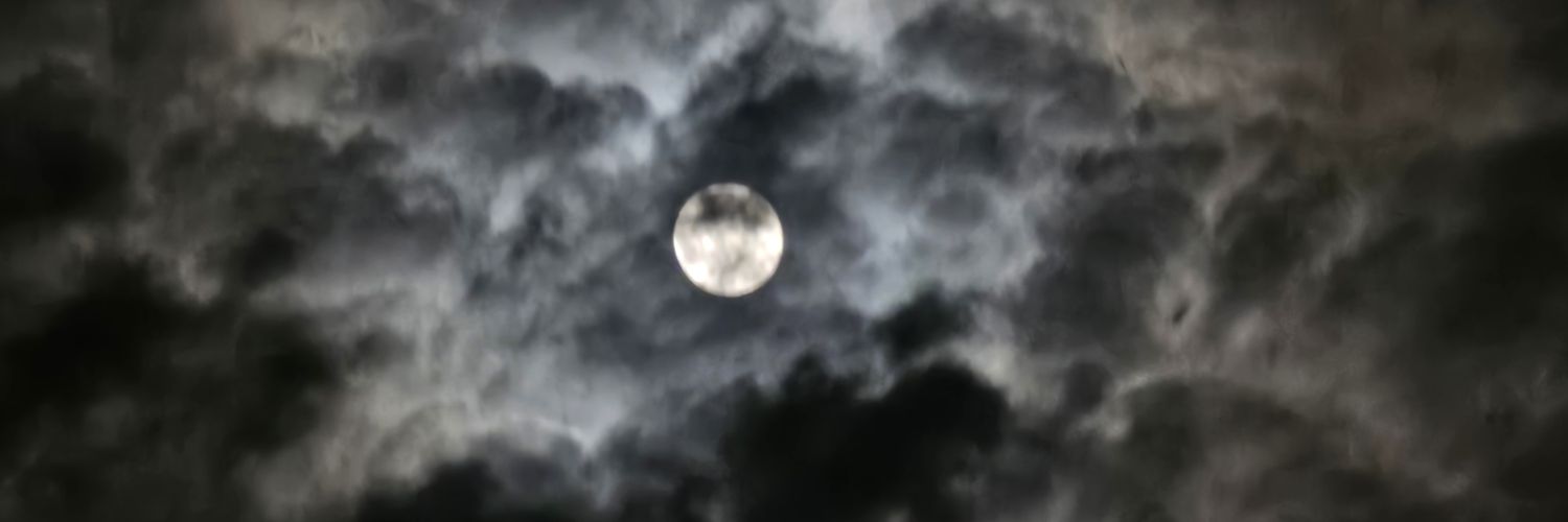 DayaSarg's profile banner image
