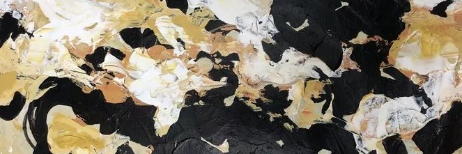 dfzcapital's profile banner image