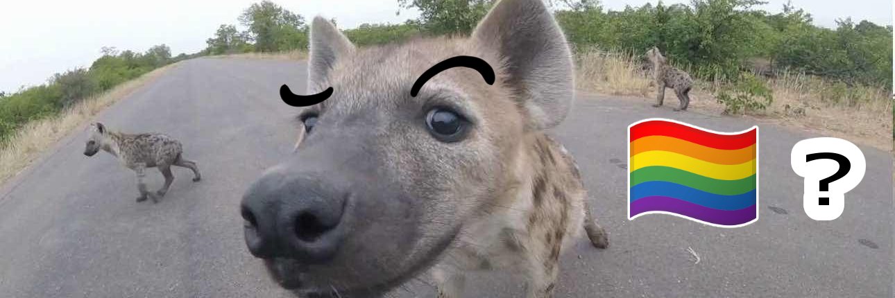 Rex_The_Yeen's profile banner image