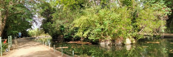 solerirs Profile Banner