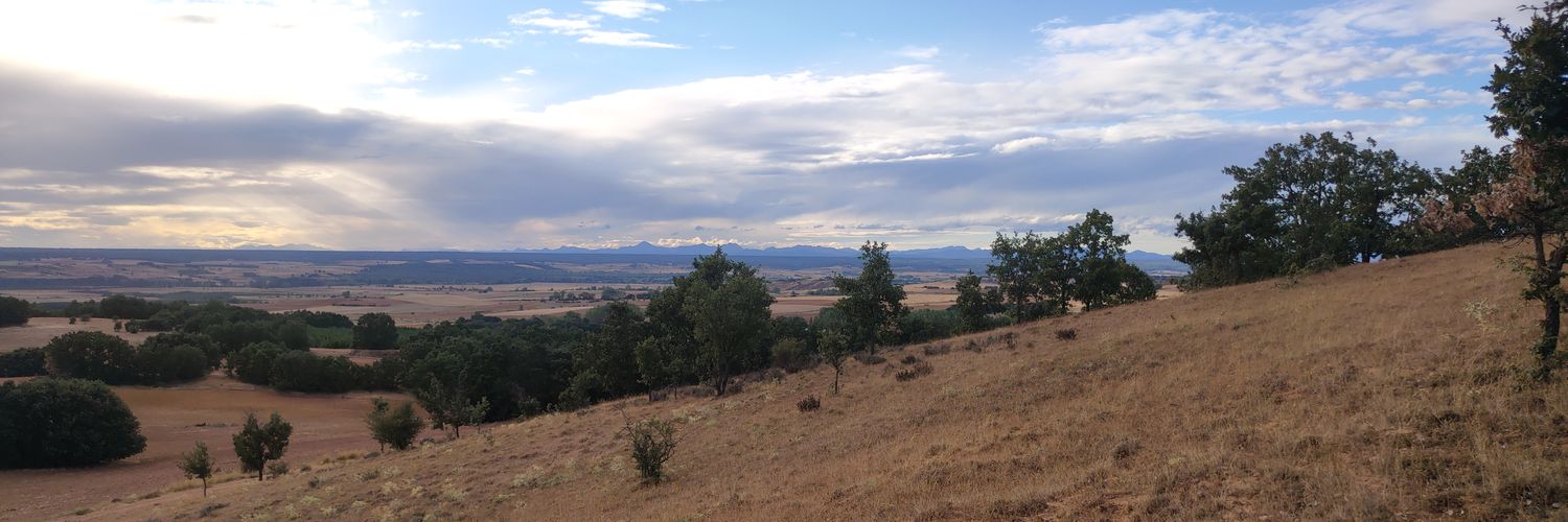 Ibai Guillén banner