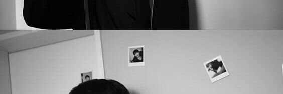 🐯🐯 banner