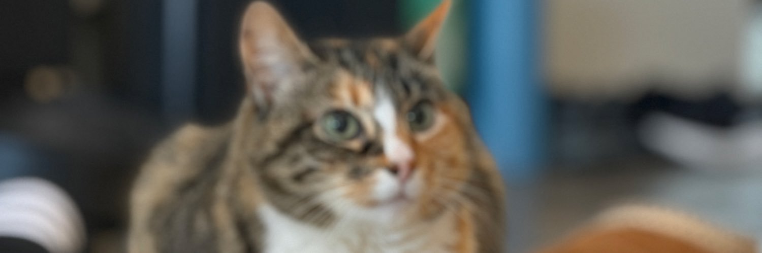 BNENYCLAX's profile banner image