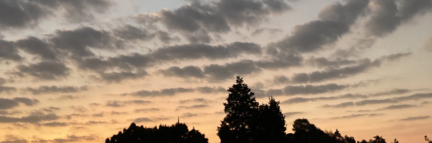 laksssminaaa's profile banner image