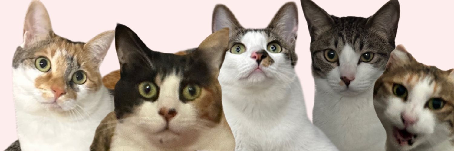 HD_D_27's profile banner image