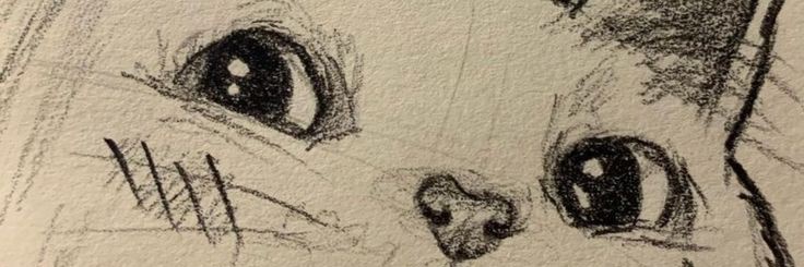 bebebe banner