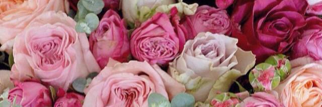Tikka_Muslimah's profile banner image