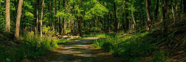 Feeding_Freedom Profile Banner