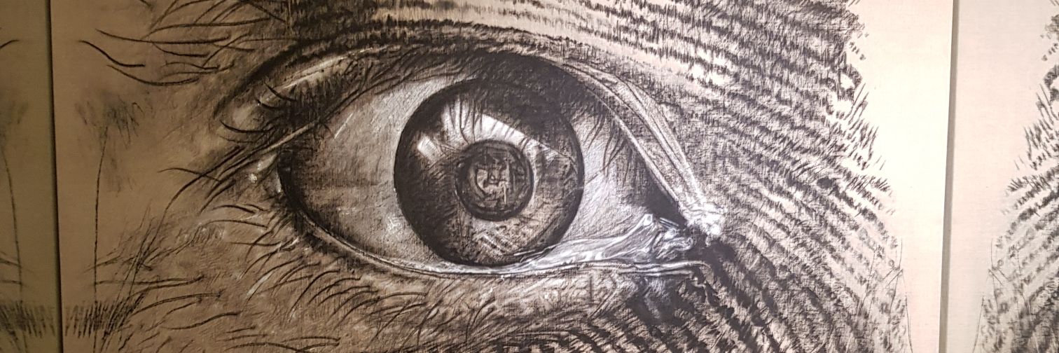 ottheriter's profile banner image
