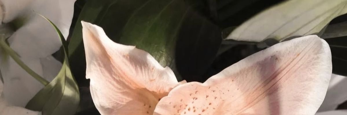 SullyoonAT50's profile banner image