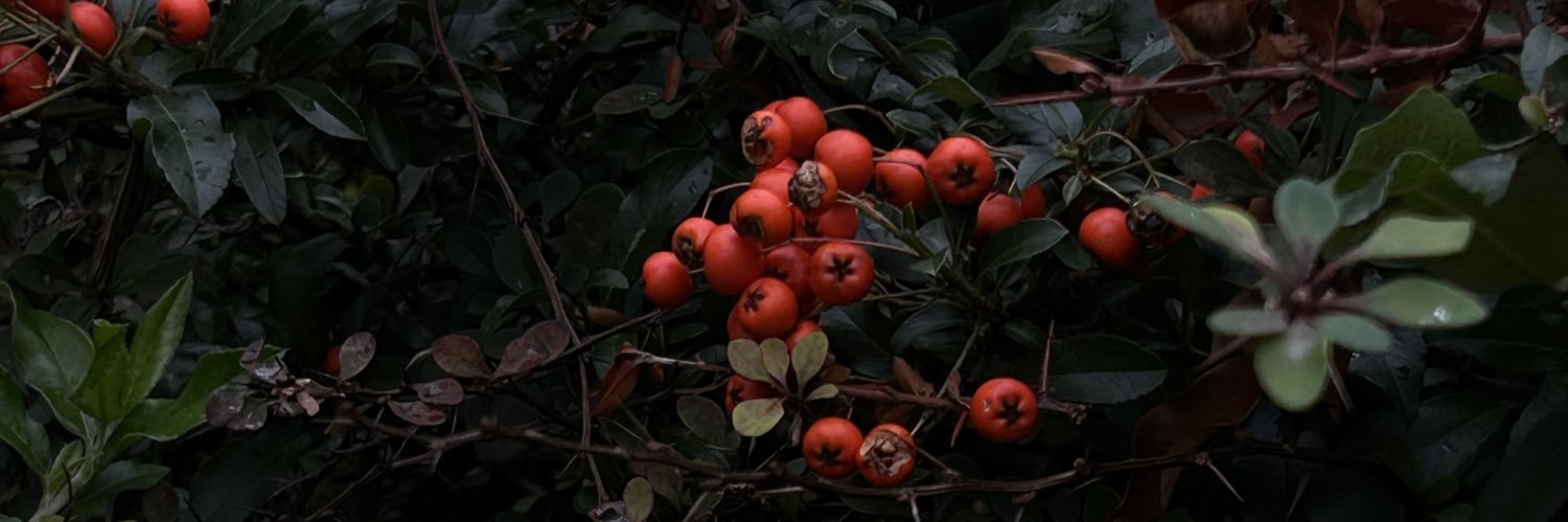 майстер дивних оповідок 👀 banner