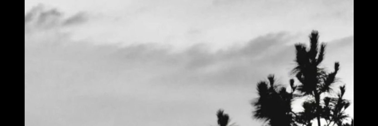 涩老湿ing banner