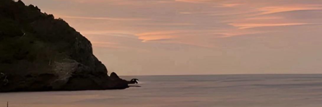 Wism_24's profile banner image