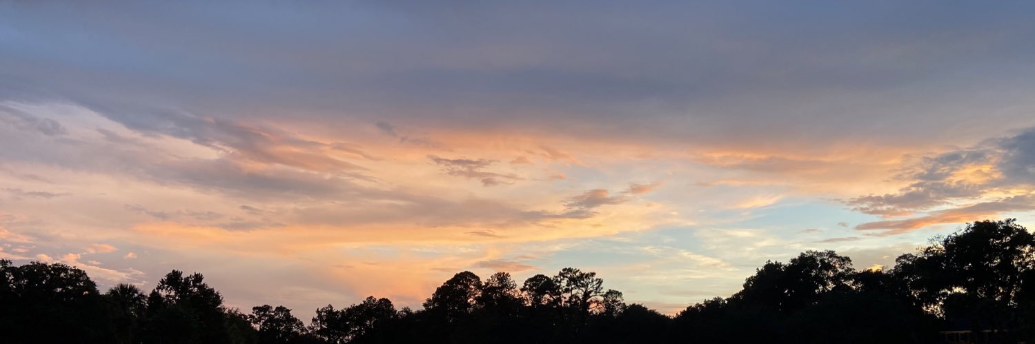 JaelynML's profile banner image