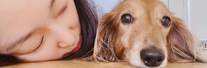 jiinni262's profile banner image