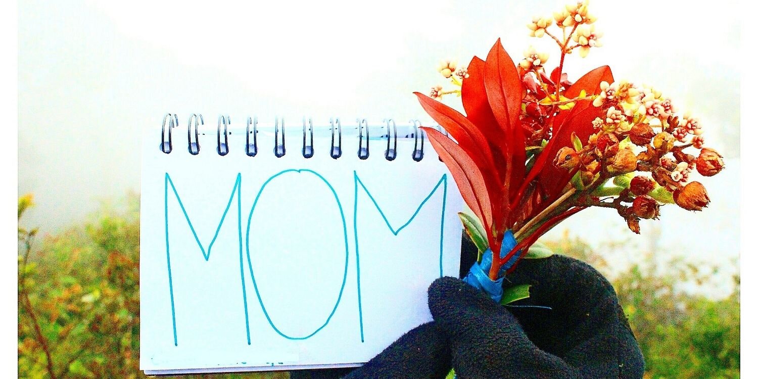 Delta Arianda banner