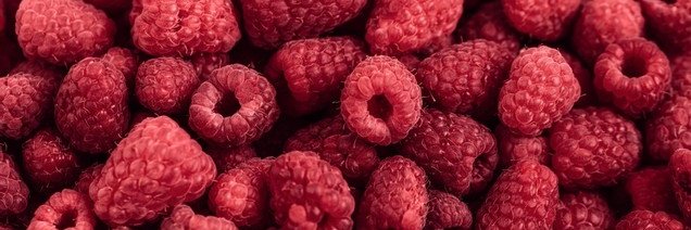 MAGENTAED GENESIS banner