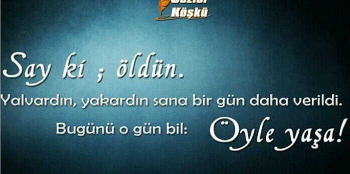 SedaDevelioglu's profile banner image