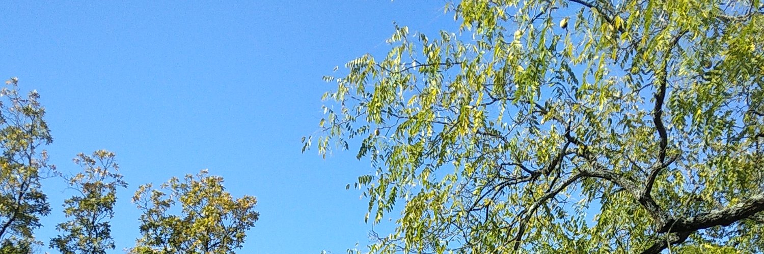 JennieW1972 banner